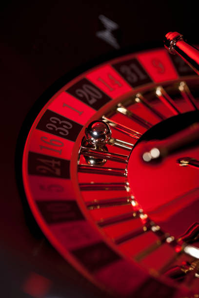 muliaslot88 platform dashboard showing sportsbook, live dealer, and slot games unified in one account